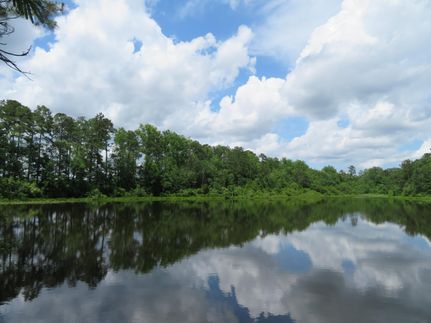 Property in Gadsden County, Florida