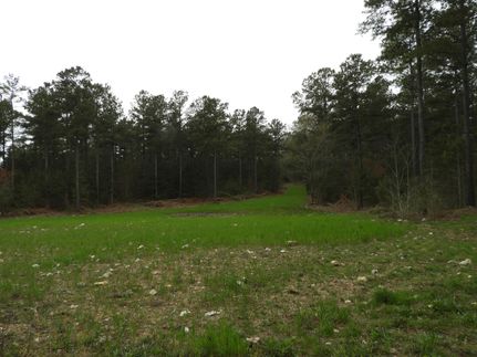 Property for sale in Bartow County, Georgia