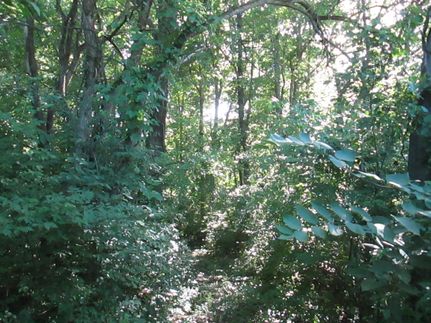 Property in Peoria County, Illinois