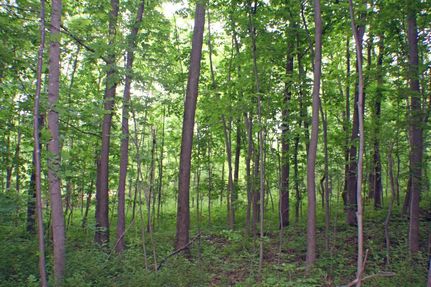 Property in Ontario County, New York