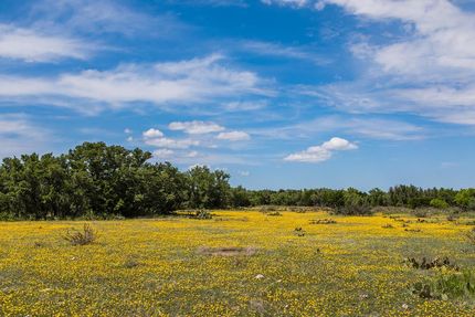 Property in Schleicher County, Texas