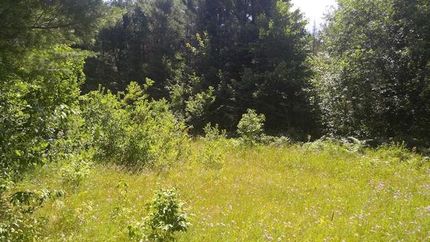 Property in Ontonagon County, Michigan