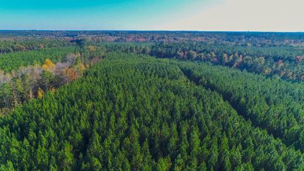 Property in Richland County, South Carolina