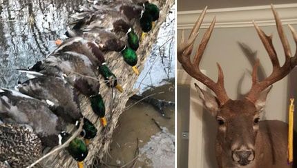 Property in DeSoto County, Mississippi