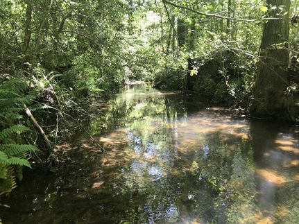 Property in Pickens County, South Carolina