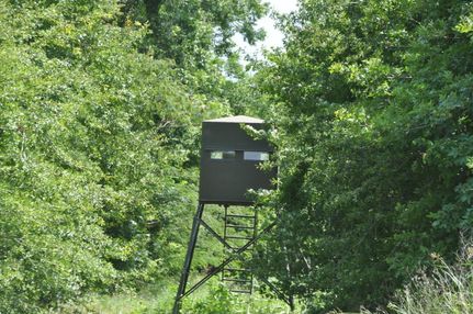 Property in Madison Parish, Louisiana