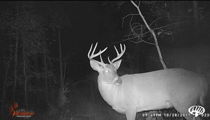 Property in Cherokee County, Alabama