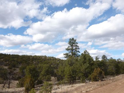 Property in Catron County, New Mexico