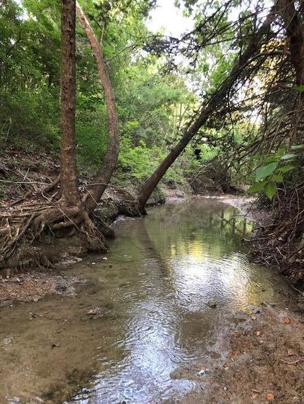 Property in Falls County, Texas