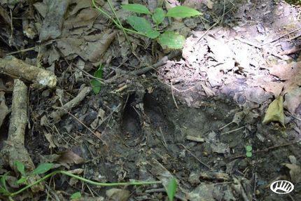 Property in Hamilton County, Indiana