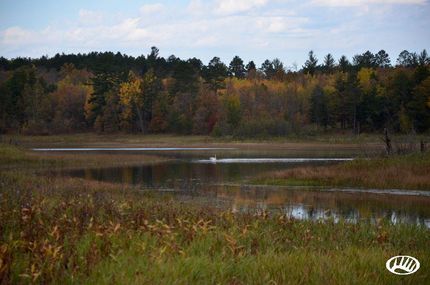 Property in Hubbard County, Minnesota