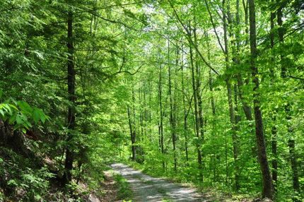 Property in Wyoming County, West Virginia