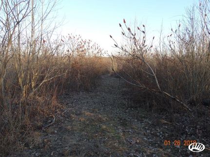 Property in Wayne County, Ohio