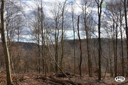 Property in Indiana County, Pennsylvania