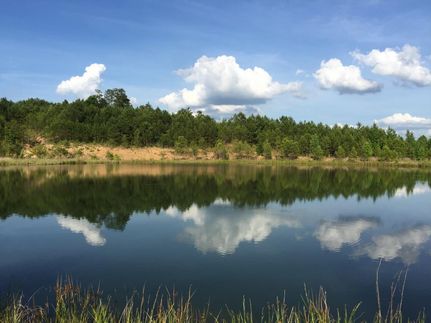 Property in Saint Clair County, Alabama