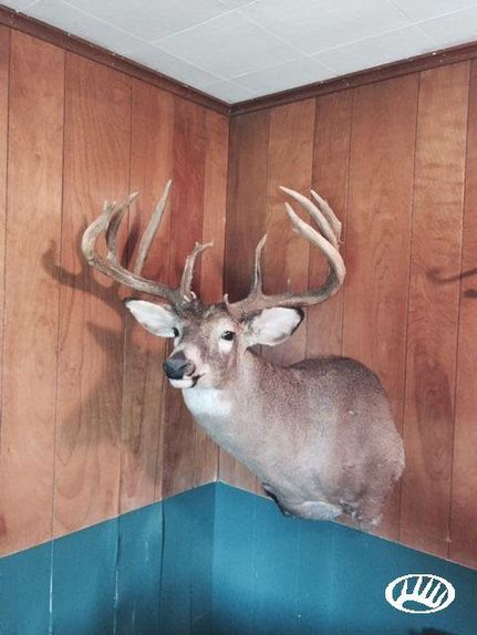 Property in Carroll County, Missouri