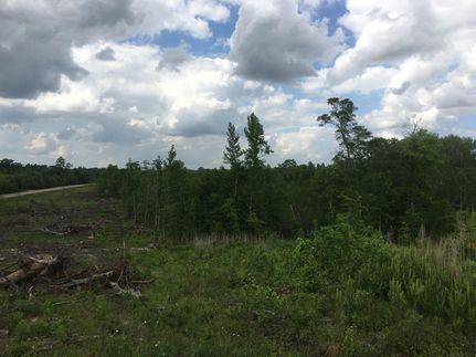 Property in Miller County, Arkansas