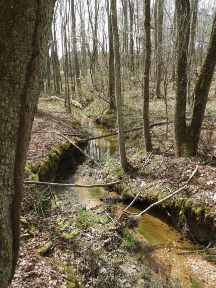 Property in Paulding County, Georgia