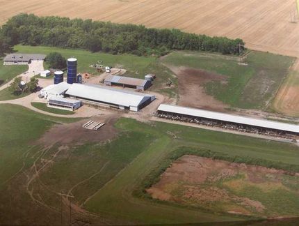 Property in Lac qui Parle County, Minnesota