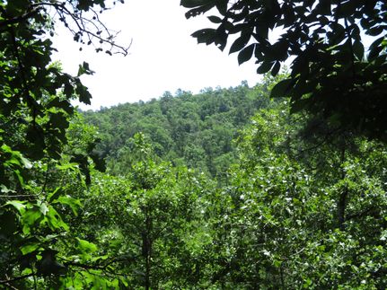 Property in Latimer County, Oklahoma