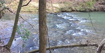 Property in Cullman County, Alabama