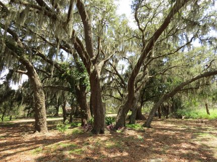 Property in Manatee County, Florida