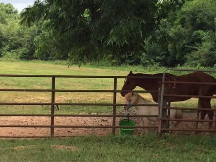 Property in Sumter County, Georgia