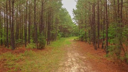 Property in Anson County, North Carolina