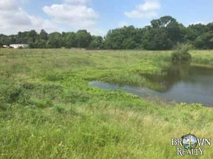 Property in Tensas Parish, Louisiana