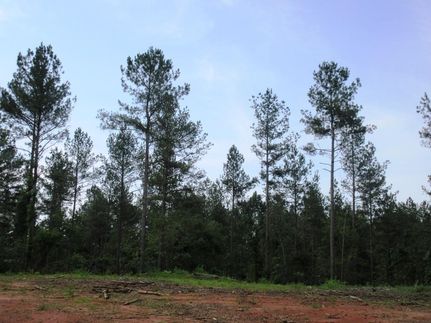 Property in Stephens County, Georgia