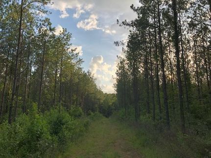 Property in Tallapoosa County, Alabama