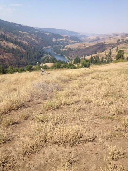 Property in Nez Perce County, Idaho
