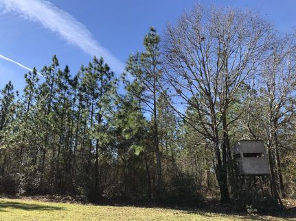 Property in Mobile County, Alabama