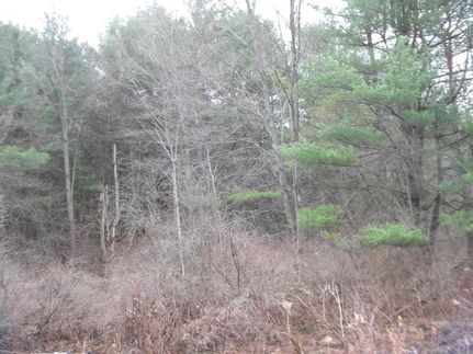 Property in Tompkins County, New York
