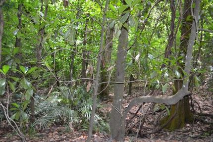 Property in Laurens County, Georgia