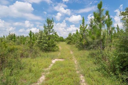 Property in Santa Rosa County, Florida