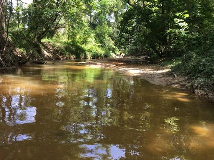 Property in Choctaw County, Alabama