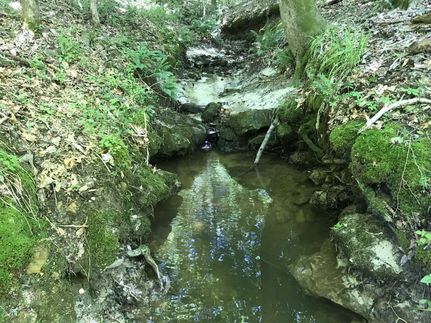 Property in Monroe County, Alabama