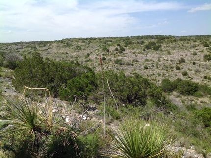 Property in Val Verde County, Texas