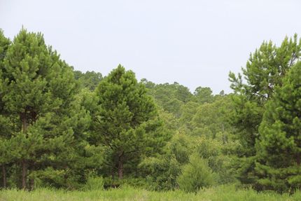 Property in Latimer County, Oklahoma