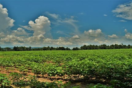 Property in Etowah County, Alabama