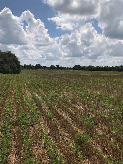 Property in Limestone County, Alabama