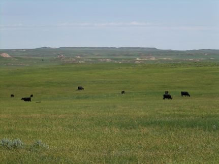 Property in Custer County, Montana