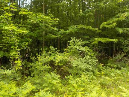 Property in Roscommon County, Michigan