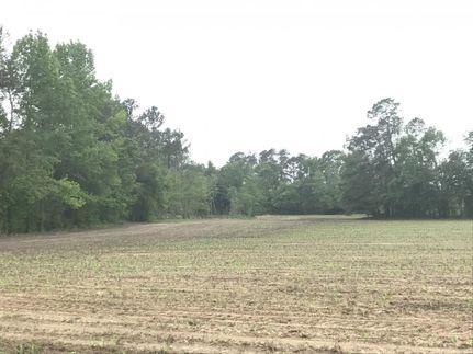 Property in Florence County, South Carolina