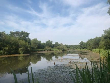 Property in Red River County, Texas