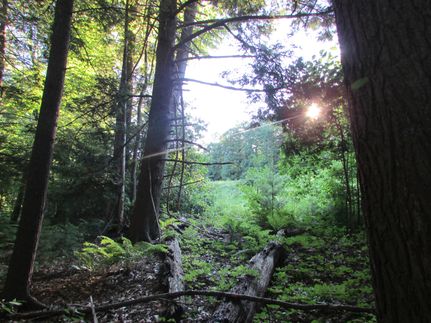 Property in Ulster County, New York