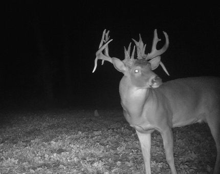 Property in Wabash County, Illinois