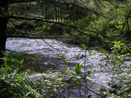 Property in Saint Lawrence County, New York