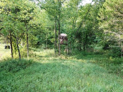 Property in Phelps County, Missouri